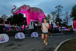 BIB: 
                            <button type="button" onclick="openModal(26529671)" class="btn btn-primary btn-sm float-right btn-popup" data-toggle="modal" data-target=".modal-high-quality">
                        <i class="fas fa-shopping-cart"></i> Add to Cart
                    </button>
                                            <button type="button" onclick="isThisMe(26529671, true)" class="btn btn-success btn-sm float-right btn-popup btn-isme hidden" data-toggle="tooltip" data-placement="bottom" title="นี่คือรูปของคุณใช่ไหม คลิกที่นี่เพื่อเอาเข้าอัลบั้ม">
                        <i class="fas fa-plus"></i> Add to album
                    </button>
                    <button type="button" onclick="isThisMe(26529671, false)" class="btn btn-warning btn-sm float-right btn-popup btn-isnotme hidden">
                        <i class="fas fa-ban"></i> Remove from album
                    </button>